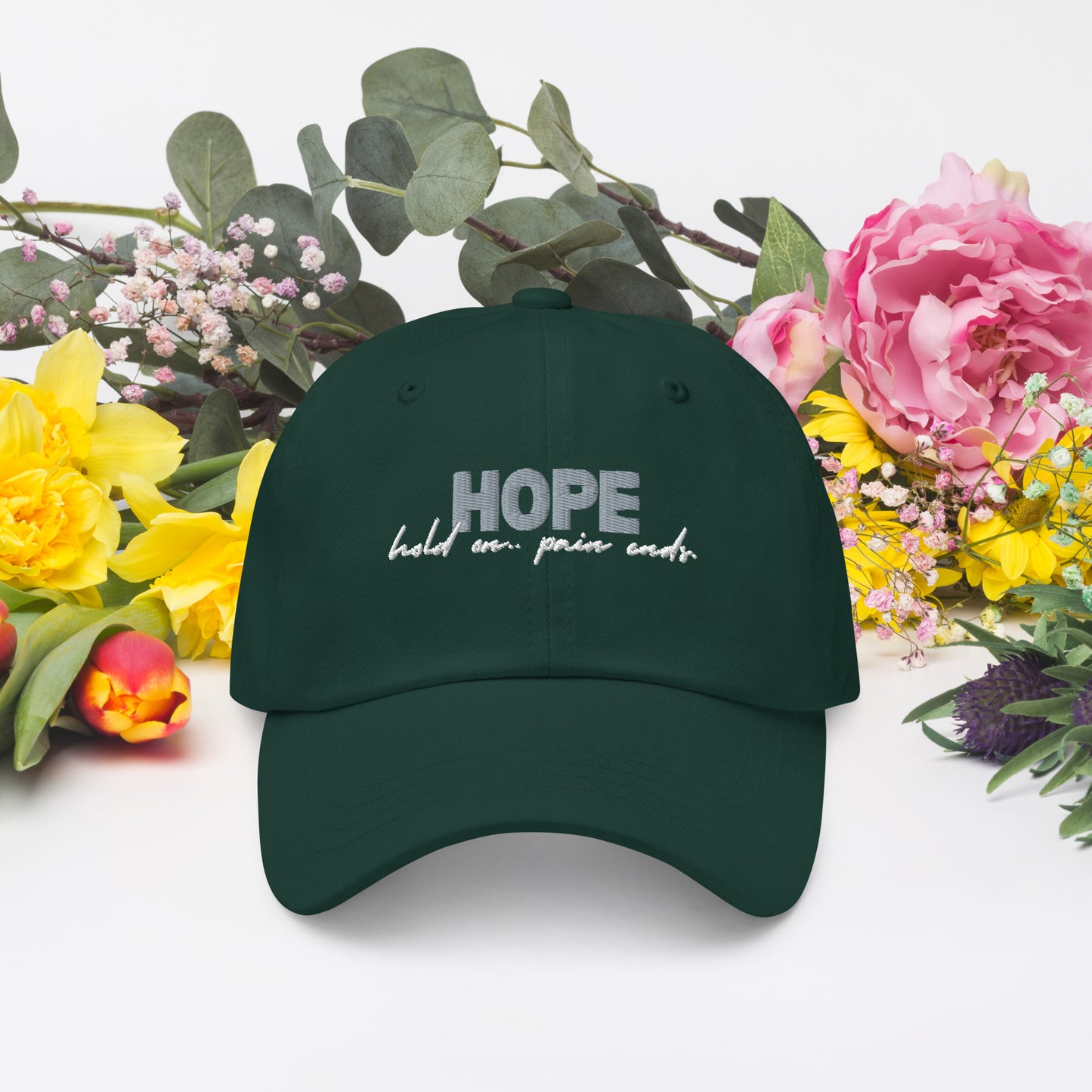 “Hang on” dad hat